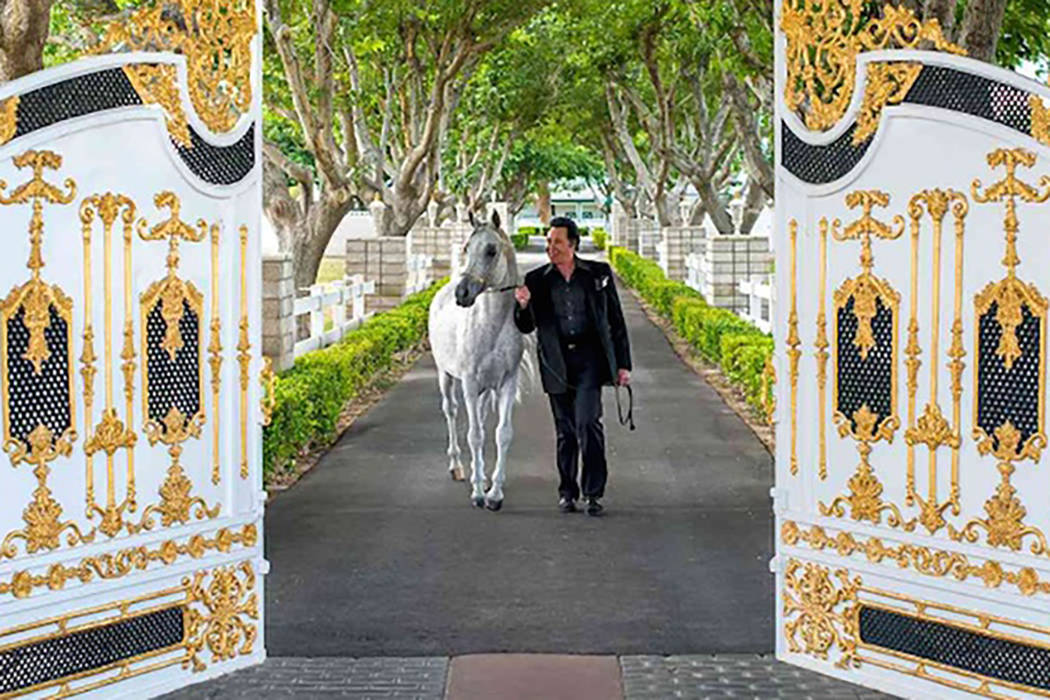 Wayne Newton is shown at the gated entrance of Casa de Shenandoah. (Wayne Newton's Casa de Shen ...