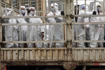 In this Thursday, Feb. 6, 2020, photo, workers in protective suits ride on a truck carrying med ...