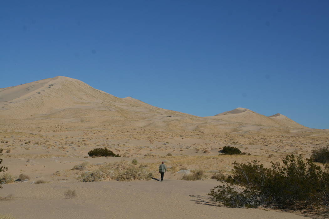 The Kelso Sand Dunes can be accessed by driving about 10 miles south of the Kelso Depot. (Debor ...