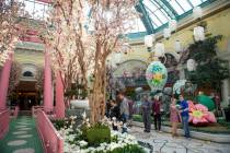 The Bellagio showcases its spring display at the Bellagio Conservatory & Botanical Gardens in L ...