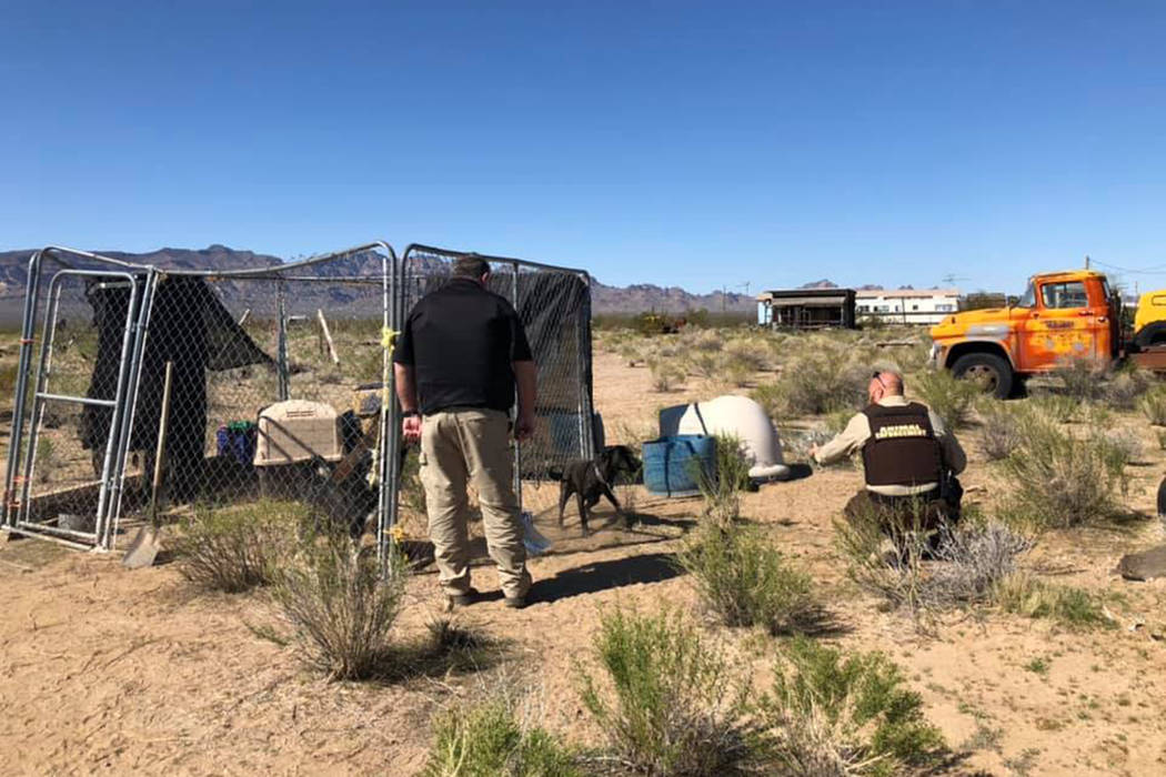 Dogs are seized by deputies Wednesday, Feb. 19, 2020, at a ranch in Golden Valley, Arizona. (Mo ...