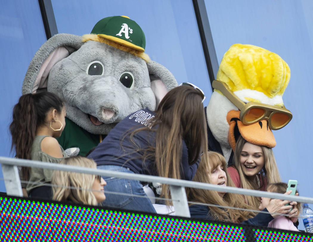 Oakland Athletics mascot "Stomper," left, and Aviators mascot "Spruce" ente ...