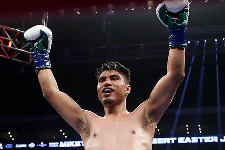 Mikey Garcia, seen in 2018. (AP Photo/Alex Gallardo)