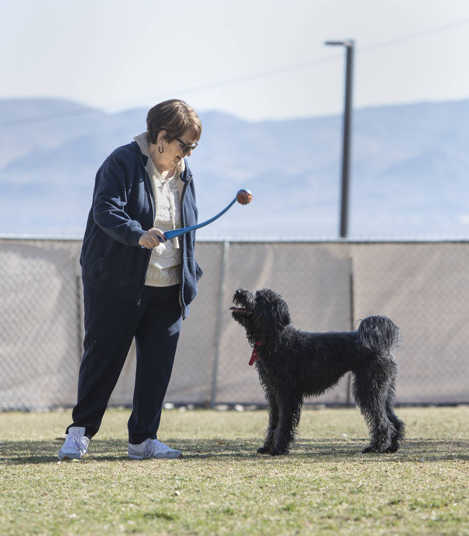 Marcia Floyd plays ball with her dog Lucy at the temporary dog park at Hidden Hills Park on Thu ...