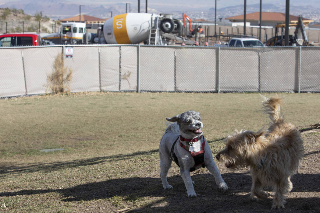 Barney, left, and Scooter, right, play in the temporary dog park at Hidden Hills Park as constr ...