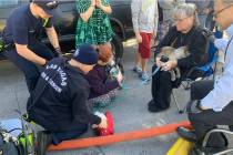 Las Vegas firefighters treated two dogs and a cat for smoke inhalation after a two-alarm fire S ...