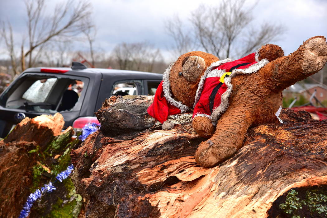 This Santa bear came to rest in the splinter of a tree in the Locust Grove area just off Highwa ...