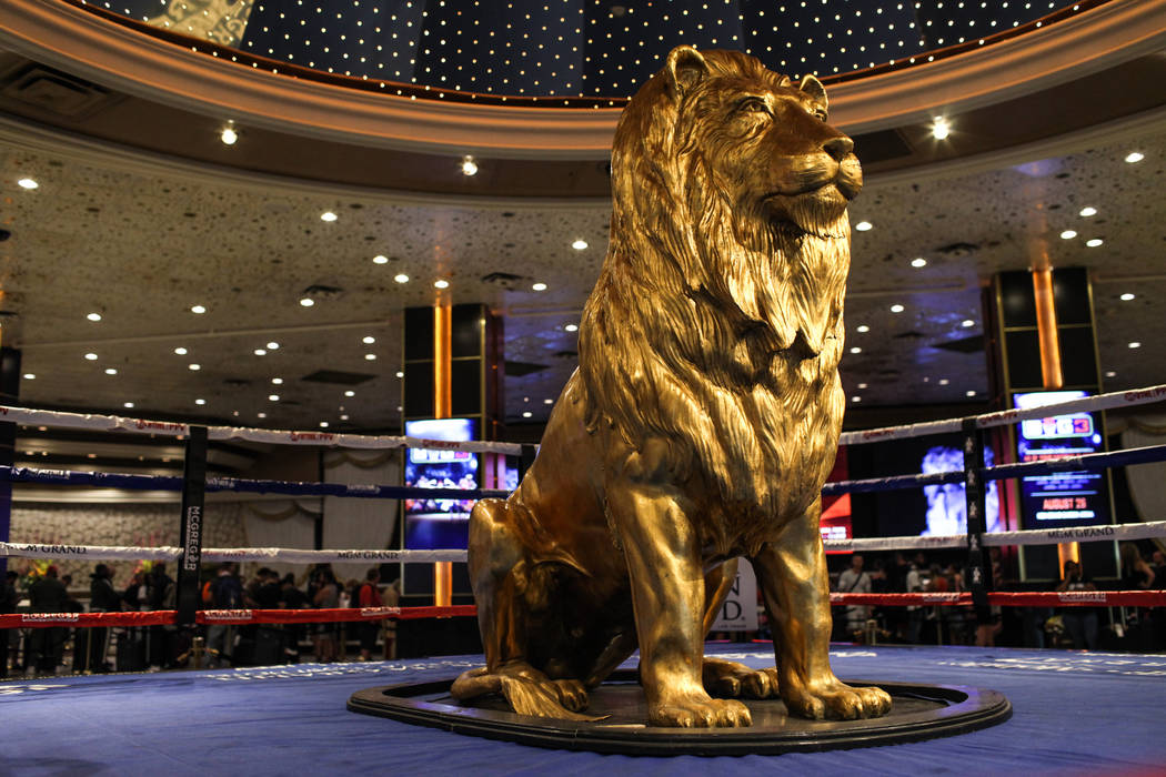 A statue of the MGM lion sits inside a boxing ring at the MGM Grand lobby as guests check in to ...