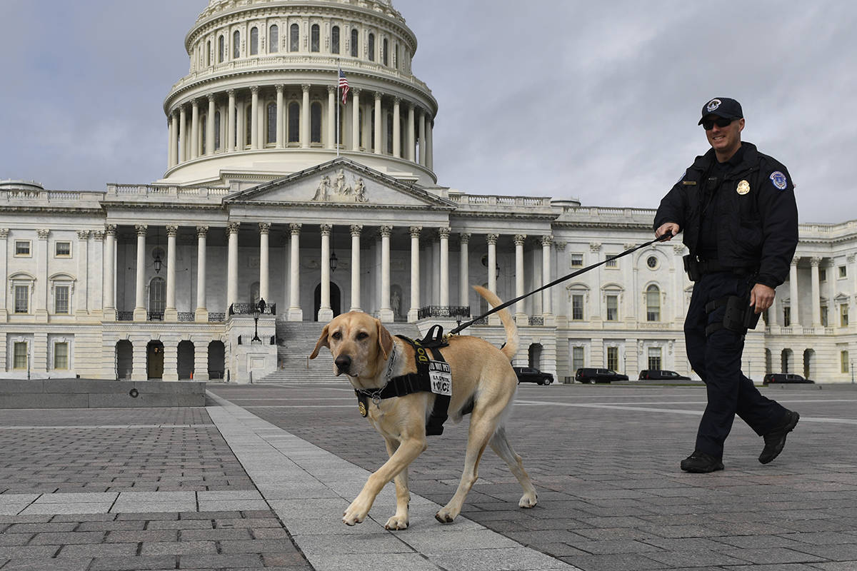 A Capitol Hill police officer and his dog patrol Capitol Hill in Washington, Tuesday, March 17, ...