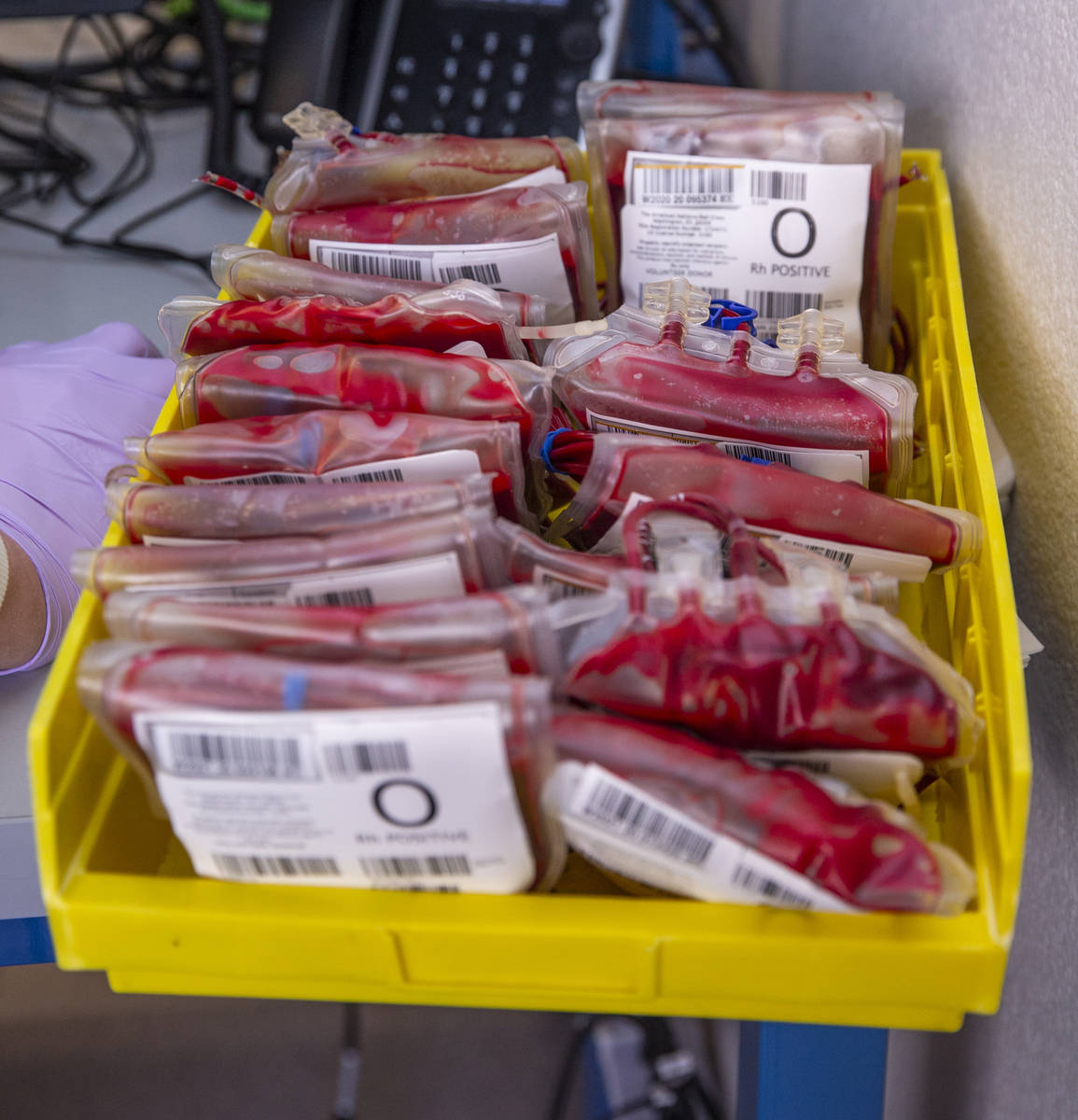 New blood donations are logged in and prepared for local delivery or off to the main distributi ...