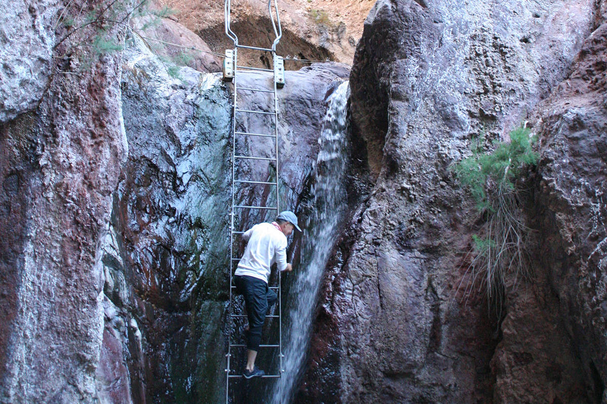 A hiker climbs the ladder to reach the Arizona Hot Springs in Lake Mead National Recreation Are ...