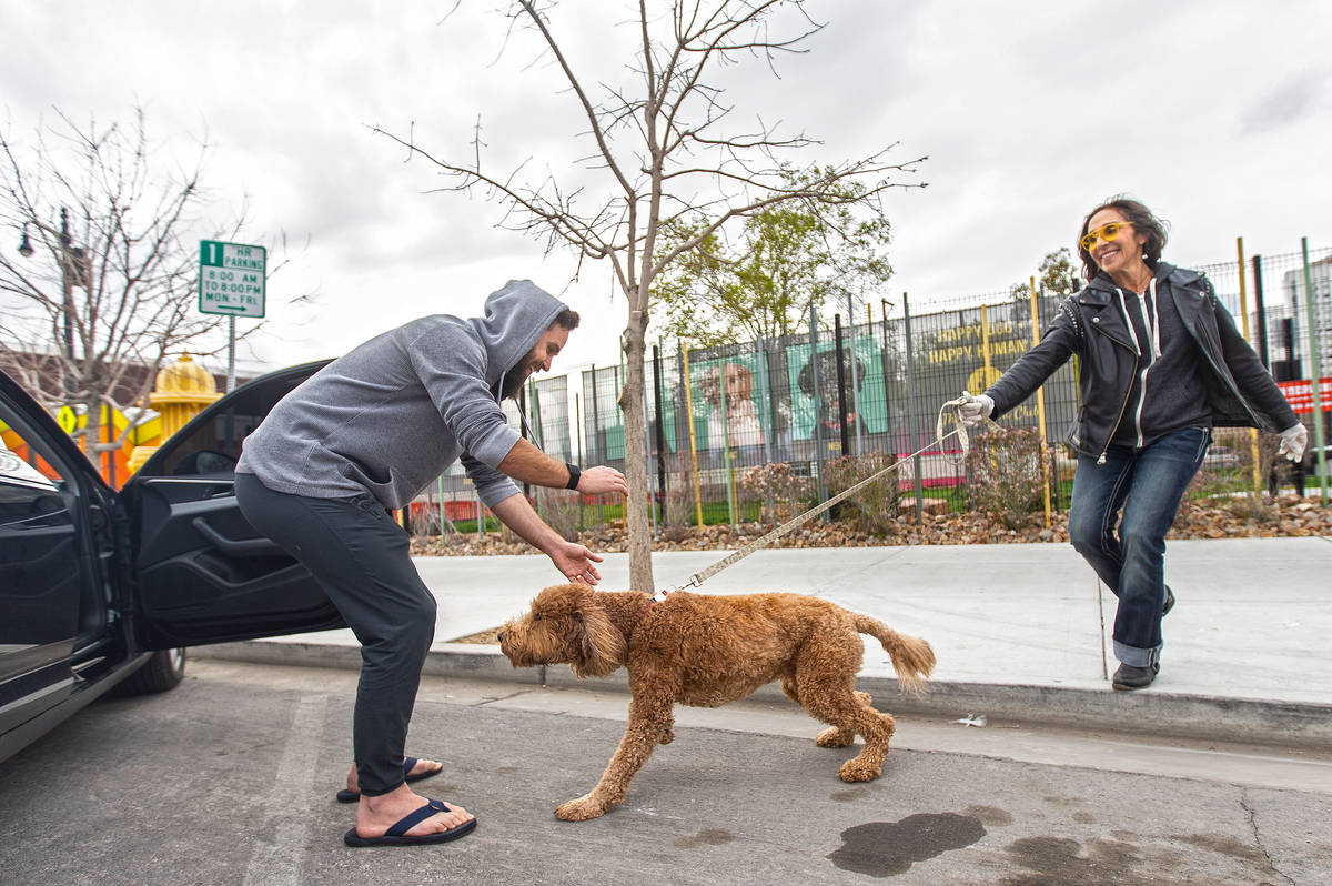 Cathy Brooks, right, owner of the Hydrant Club dog daycare, walks Josh Clemmer's dog Artichoke ...
