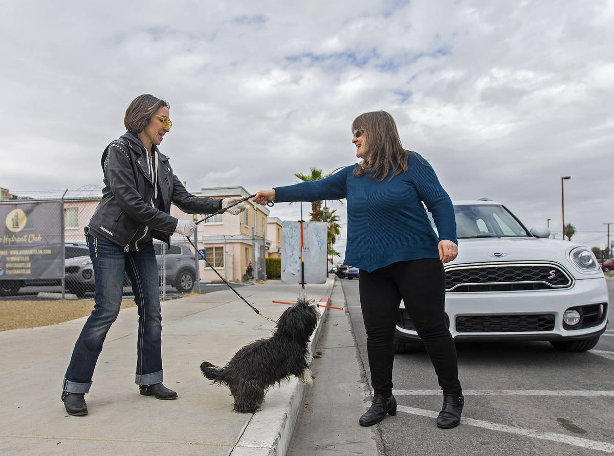 Cathy Brooks, left, owner of the Hydrant Club dog daycare, walks Eddie to his owner Sue Mirman' ...