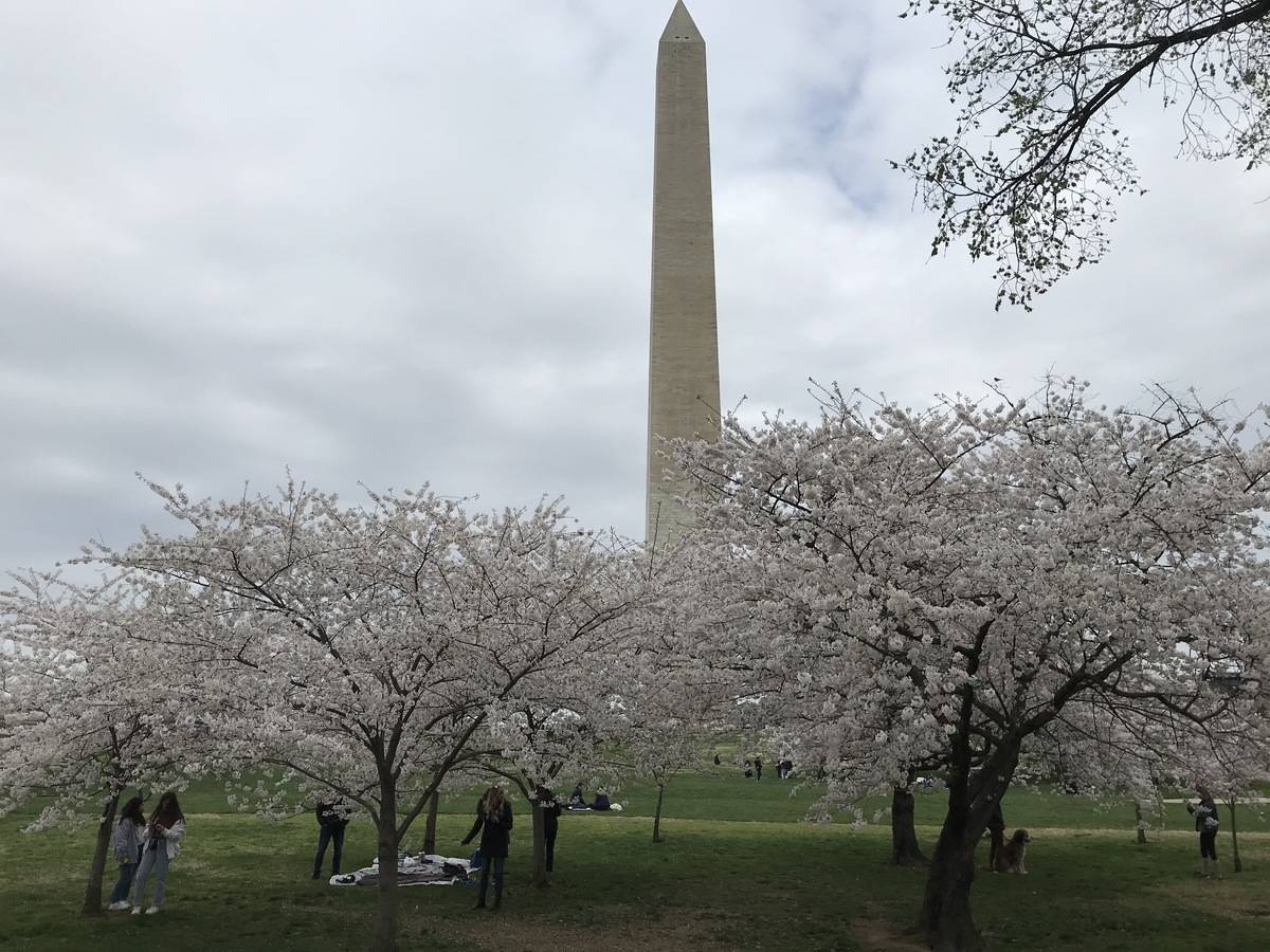 Despite fears of the coronavirus, people were running, cycling and walking through D.C.'s ch ...