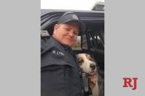 Nevada Highway Patrol Trooper W. Lynn with rescued dog, Tucker. (NHP Twitter post)