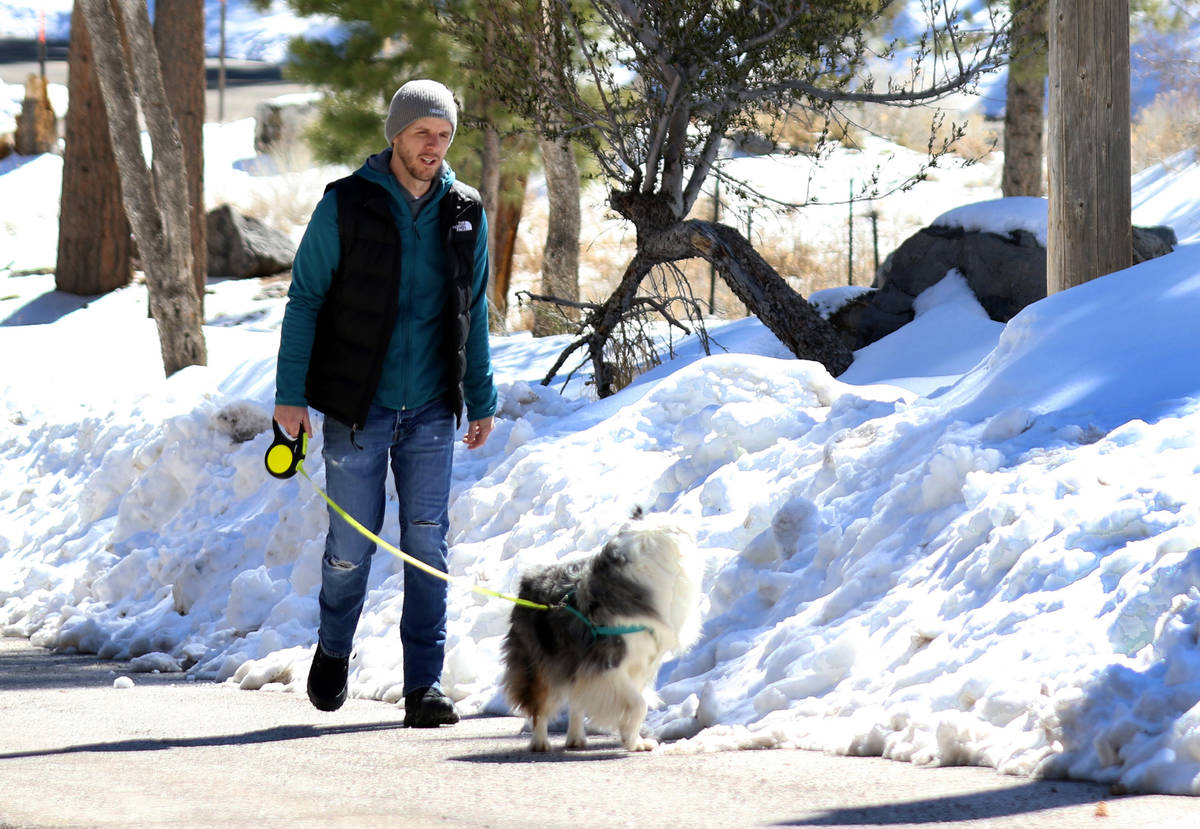 Matt Golightly walks his dog, Penelope, at Mount Charleston on Tuesday, March 24, 2020. (Bizuay ...