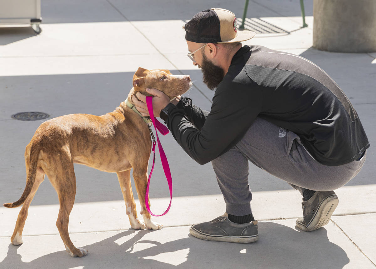 Nick Tomasella of Las Vegas, meets his potential new dog, Timmy, at The Animal Foundation in La ...