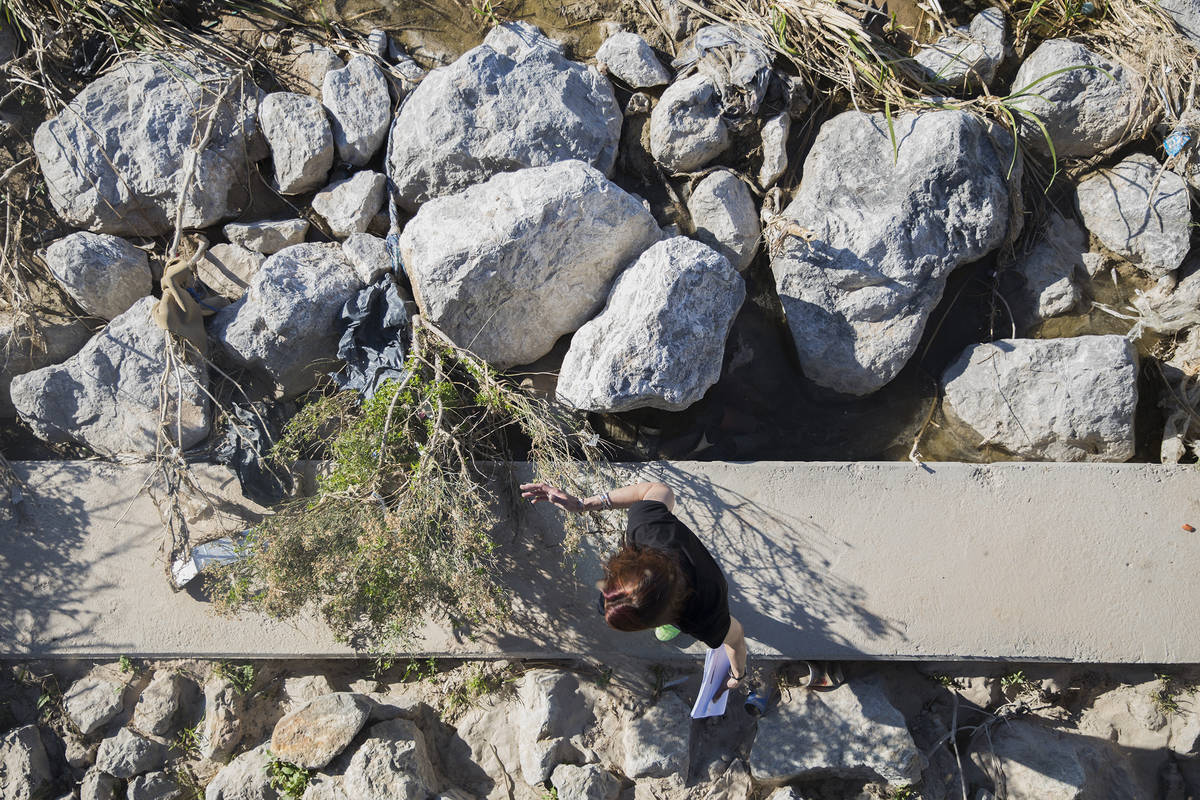 Wendy Cox looks through debris under a bridge at Clark County Wetlands Park looking for her par ...