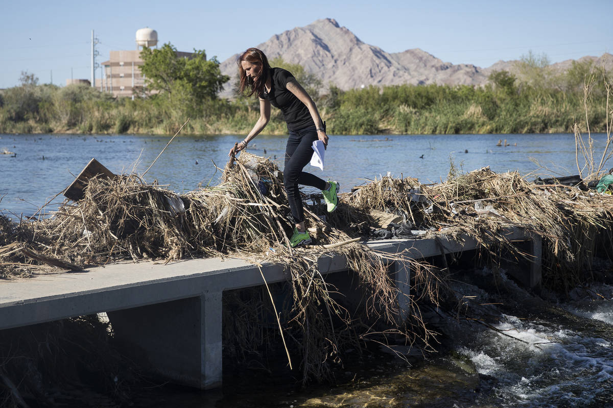 Wendy Cox looks through debris under a bridge at Clark County Wetlands Park looking for her par ...