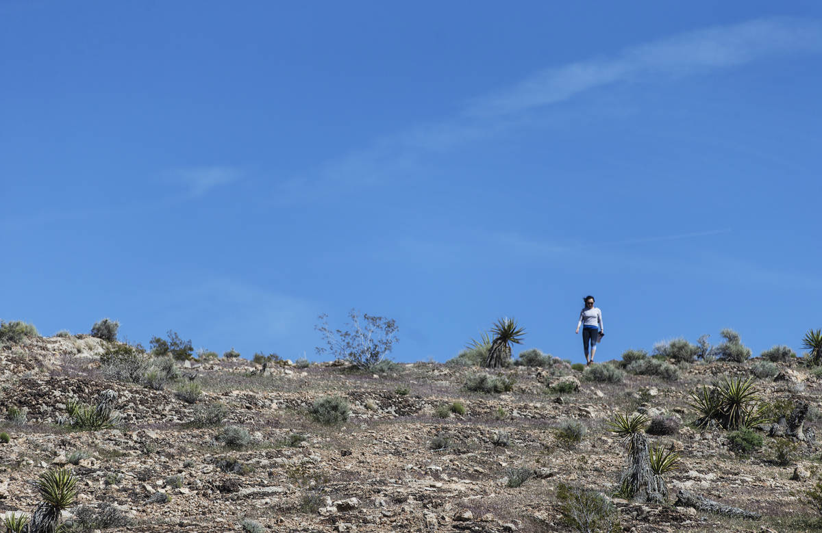 A hiker has the ridge all to herself near Red Rock Canyon National Conservation Area on Saturda ...