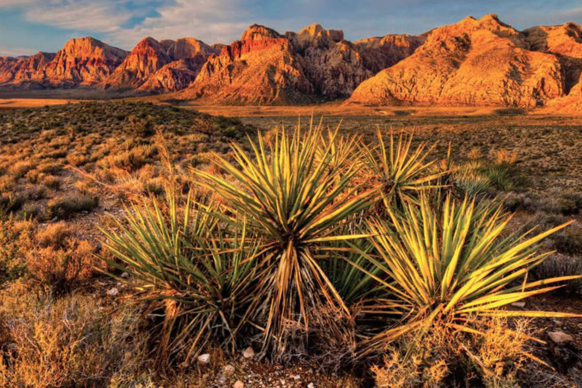 Red Rock Canyon National Conservation Area (Bureau of Land Management via Flickr)