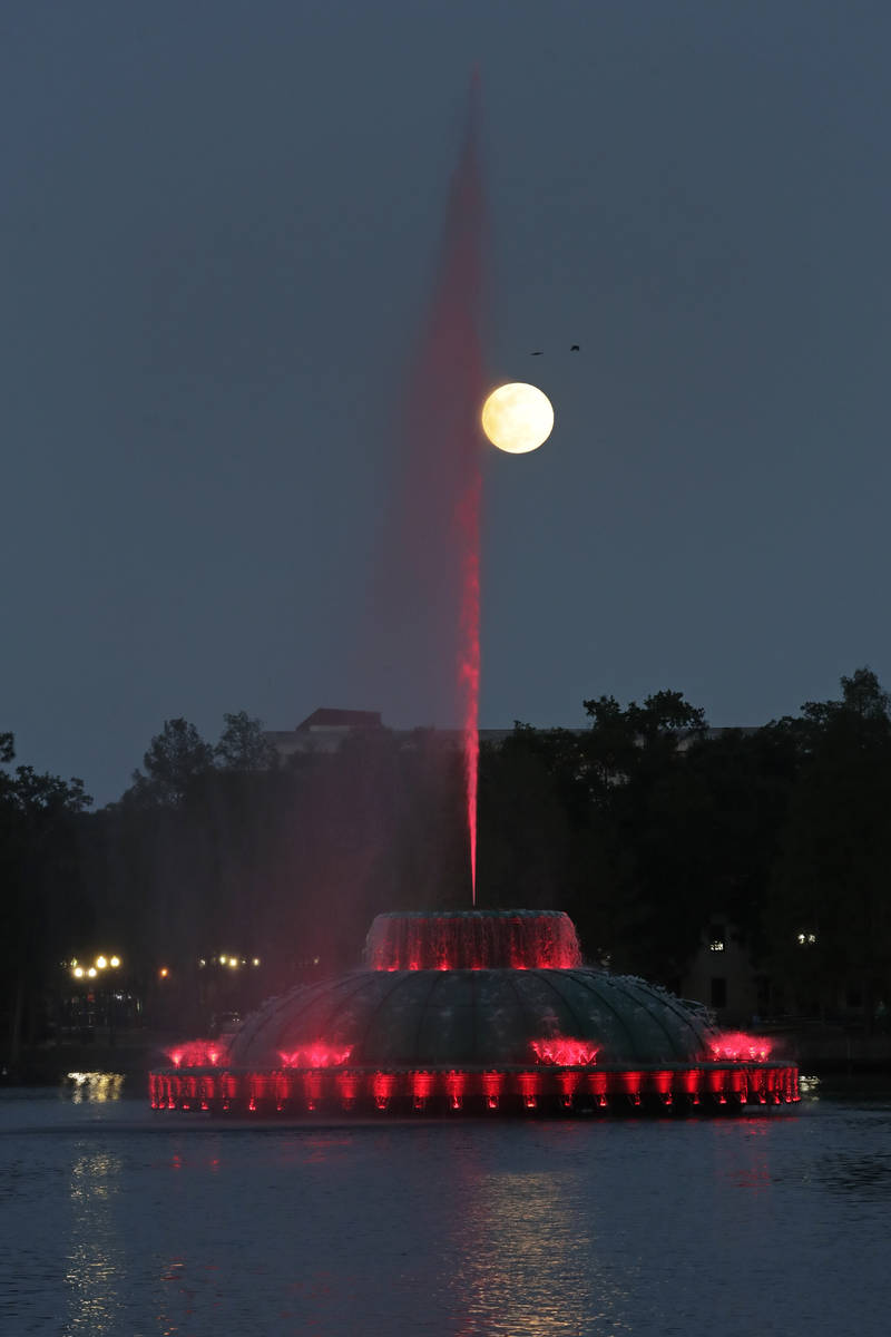 The supermoon rises in the sky in front of a fountain a Lake Eola Tuesday, April 7, 2020, in (O ...