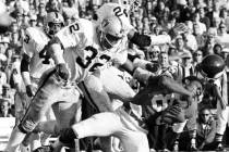 This Jan. 9, 1977 file photo shows Minnesota Vikings wide receiver Sammy White losing his helme ...