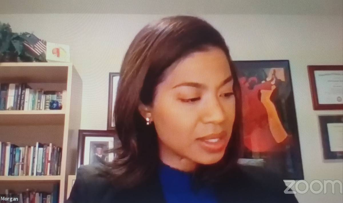 State Gaming Control Board Chairwoman Sandra Morgan appeared onscreen for the board's April 8, ...