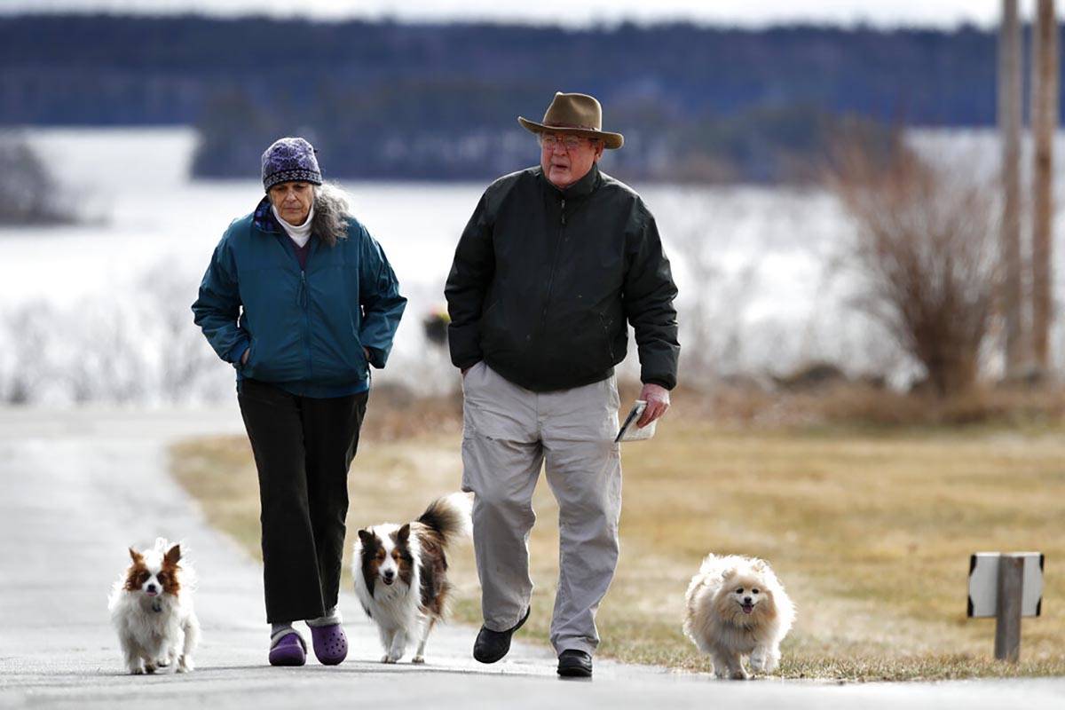 In this April 1, 2020 photo, Betsy and David Sheen are joined by their dogs as they walk up the ...