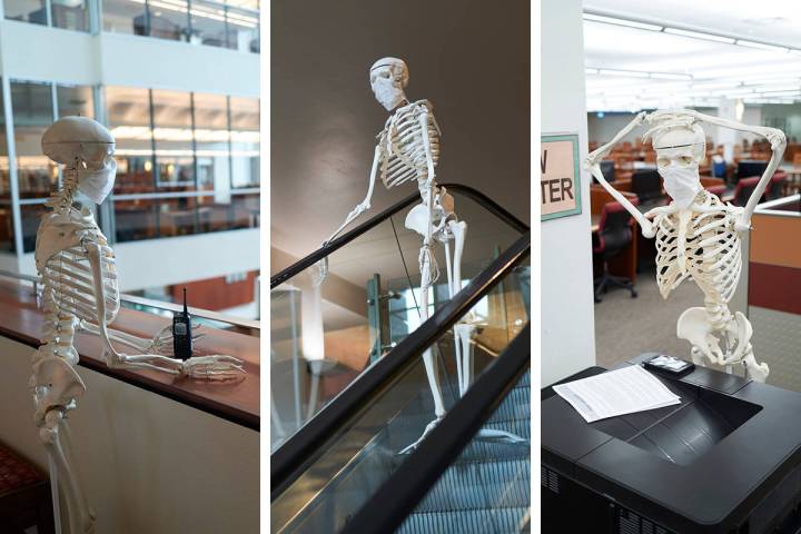 At UNLV’s Special Collections and Archives, Mandy the Skeleton patrols the school’s library ...