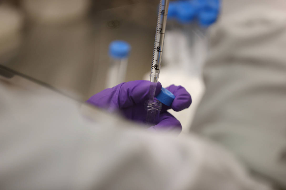Graduate student Chandler Hassan fills vials with viral transport medium for the Southern Nevad ...