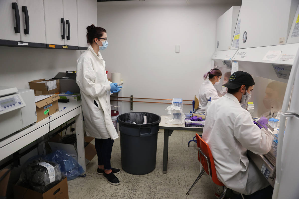 Lab manager Monika Karney, from left, watches over graduate students Naomi Okada and Chandler H ...