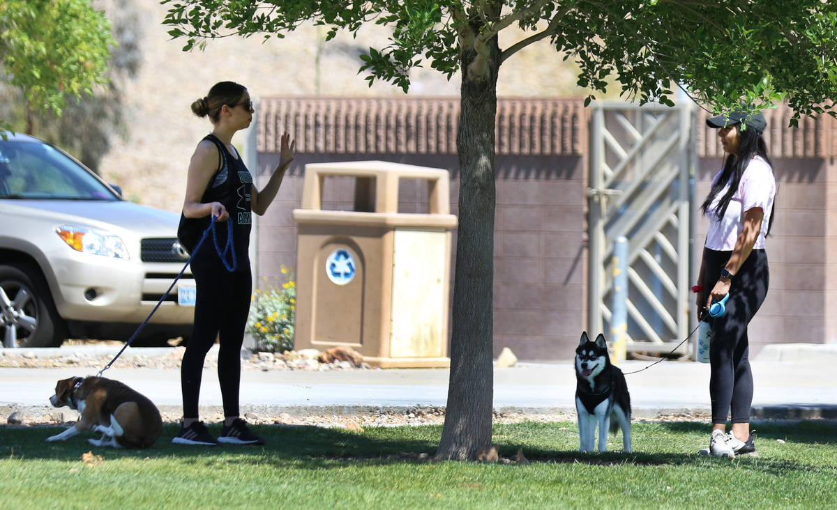 People chat as they hold their dogs while practicing social distancing at at Cornerstone Park o ...