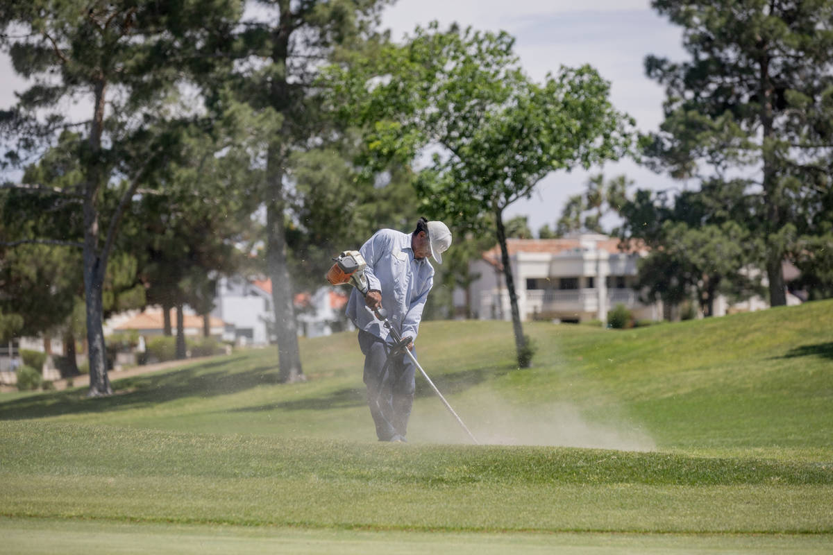 Groundskeeper Jose Gallegos edges the sand bunkers in preparetion for the opening of the Spanis ...