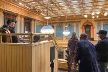 Armed protesters stand in the gallery of the Michigan State Senate chambers at the State Capito ...