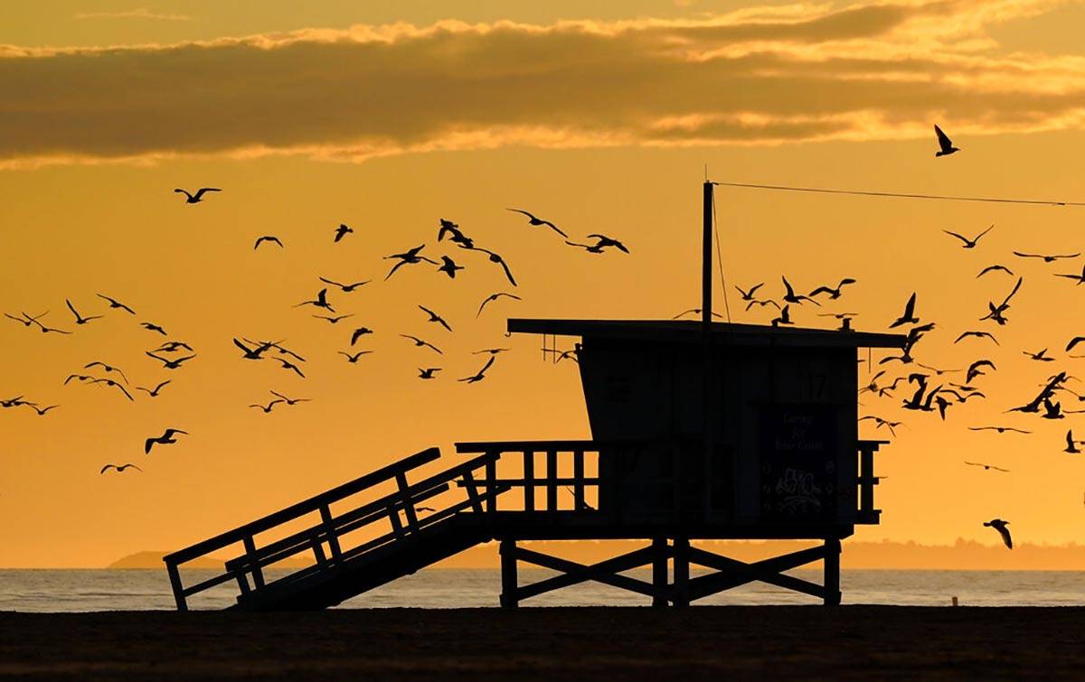 Seagulls fly around an empty lifeguard station on Santa Monica State Beach, Friday, April 10, 2 ...