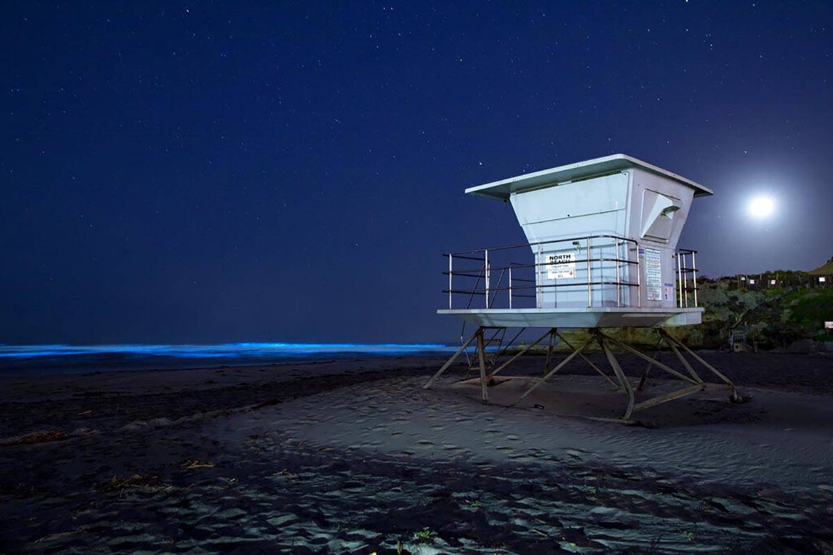 Waves glow with blue bioluminescence from an algae bloom in the ocean waters as a lifeguard tow ...