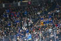 St. Louis Blues fans celebrate their team's first goal against the Golden Knights in the first ...