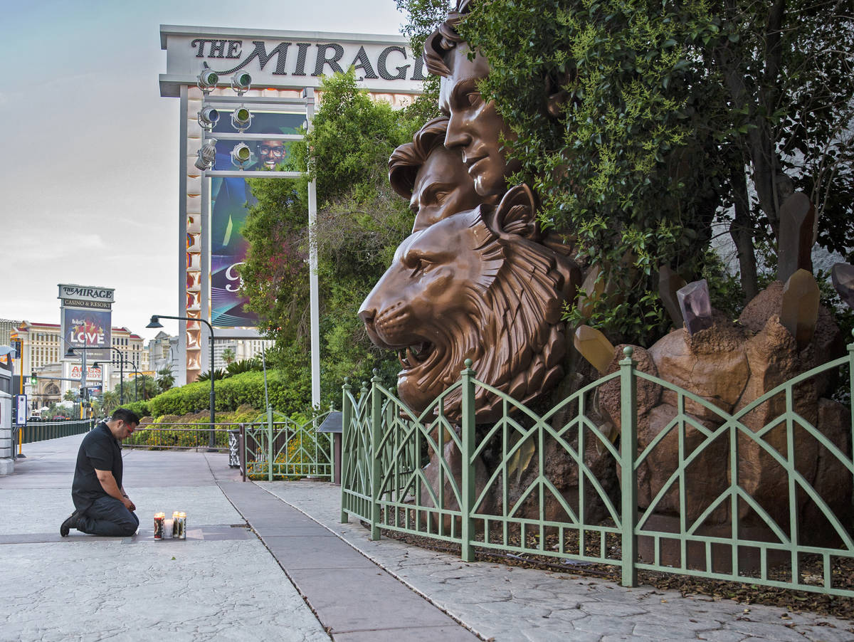 Zar Zanganeh, a friend of Roy Horn, prays next to candles he placed in front of a statue of Sie ...