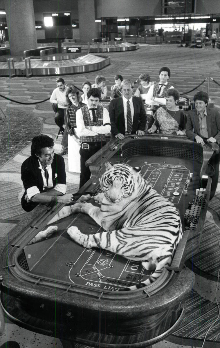 Roy Horn poses with a white tiger on a craps table at McCarran International Airport. (Review-J ...