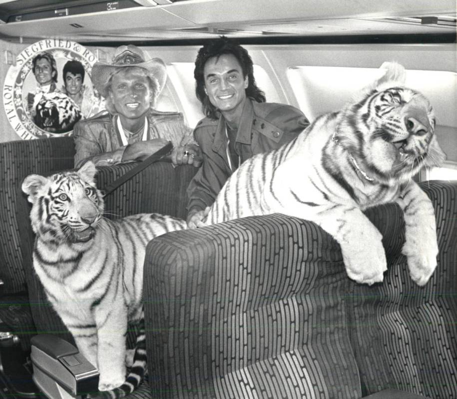 Siegfried and Roy pose for a photo with tiger cubs aboard and airplane in June 1987. (Review-Jo ...