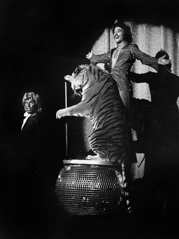 Siegfried Fischbacher, left, and Roy Horn perform with a tiger in this undated photo. (Las Vega ...