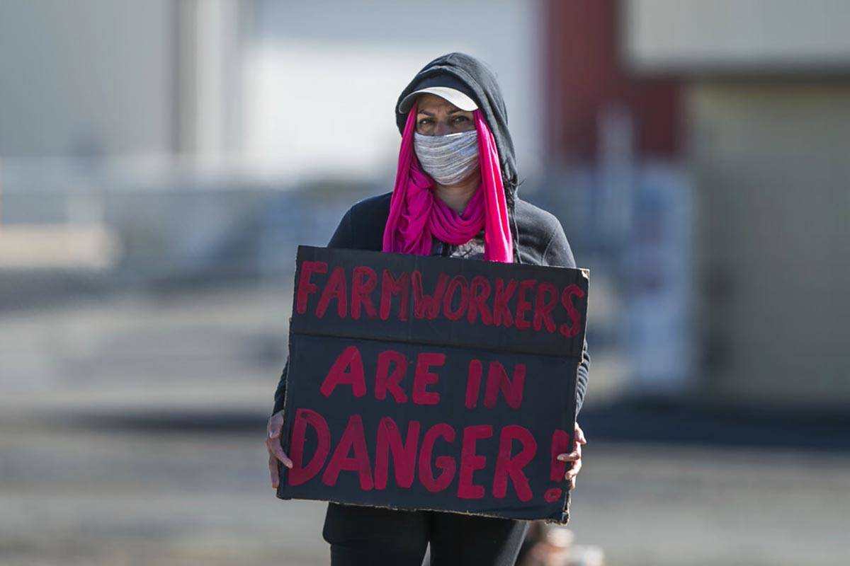 A worker Hansen Fruit and Cold Storage Co. holds a placard during a rally to protest conditions ...