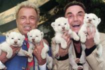 Las Vegas entertainers Siegfried & Roy, Siegfried Fischbacher, left, and Roy Uwe Ludwig Horn, r ...