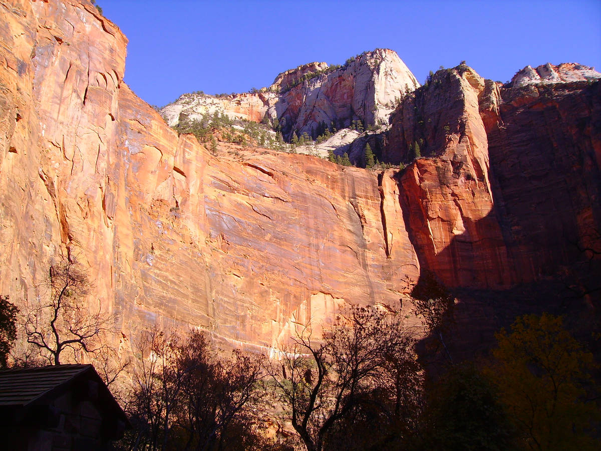 High sandstone walls and monoliths provide a colorful backdrop along Zion Canyon Scenic Drive. ...