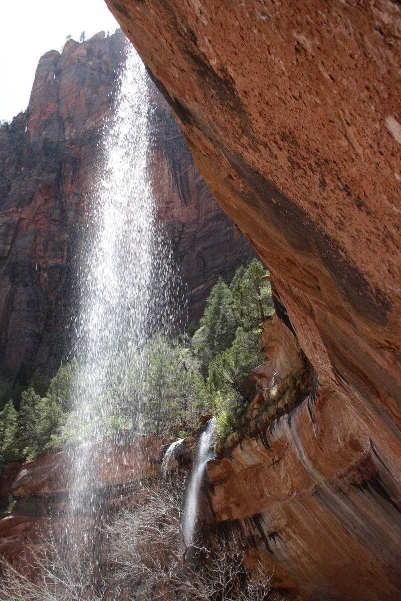 In the springtime waterfalls are commonly seen in Zion National Park. (Deborah Wall/Las Vegas R ...