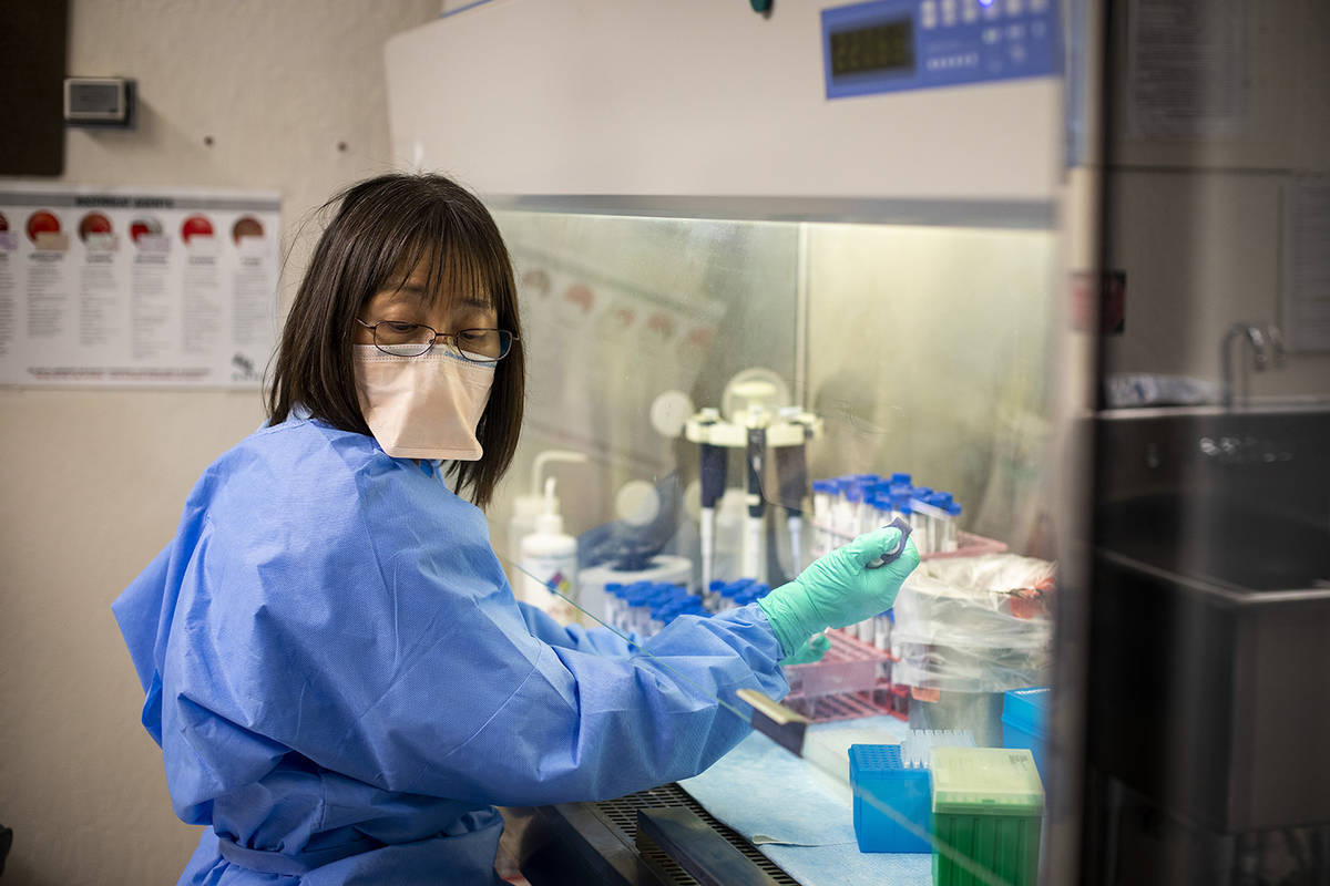 Scientists at the Nevada State Public Health Laboratory at UNR's School of Medicine collect cri ...