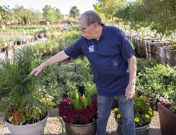 Paul Noe, aka Dr. Q, the resident horticultural expert at Star Nursery, advises novice gardener ...