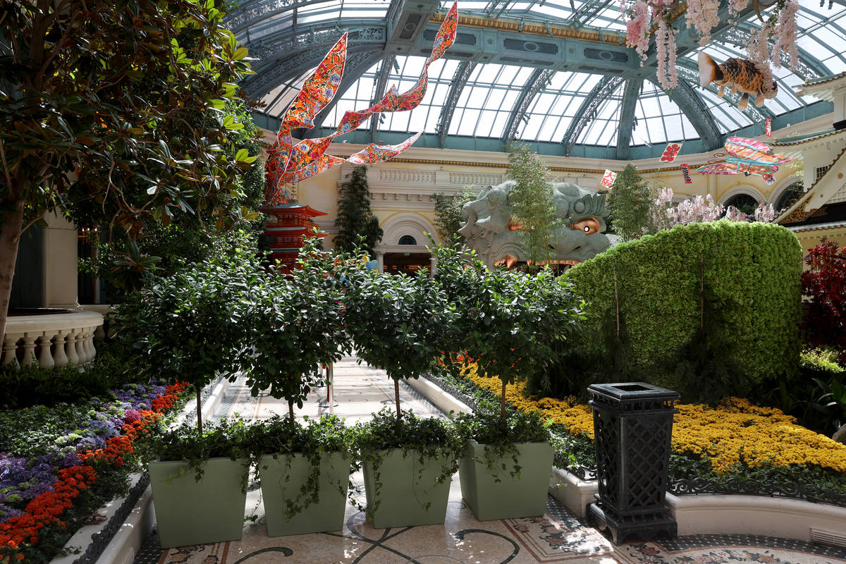 Potted trees are used to direct foot traffic one way in the Bellagio Conservator during a media ...