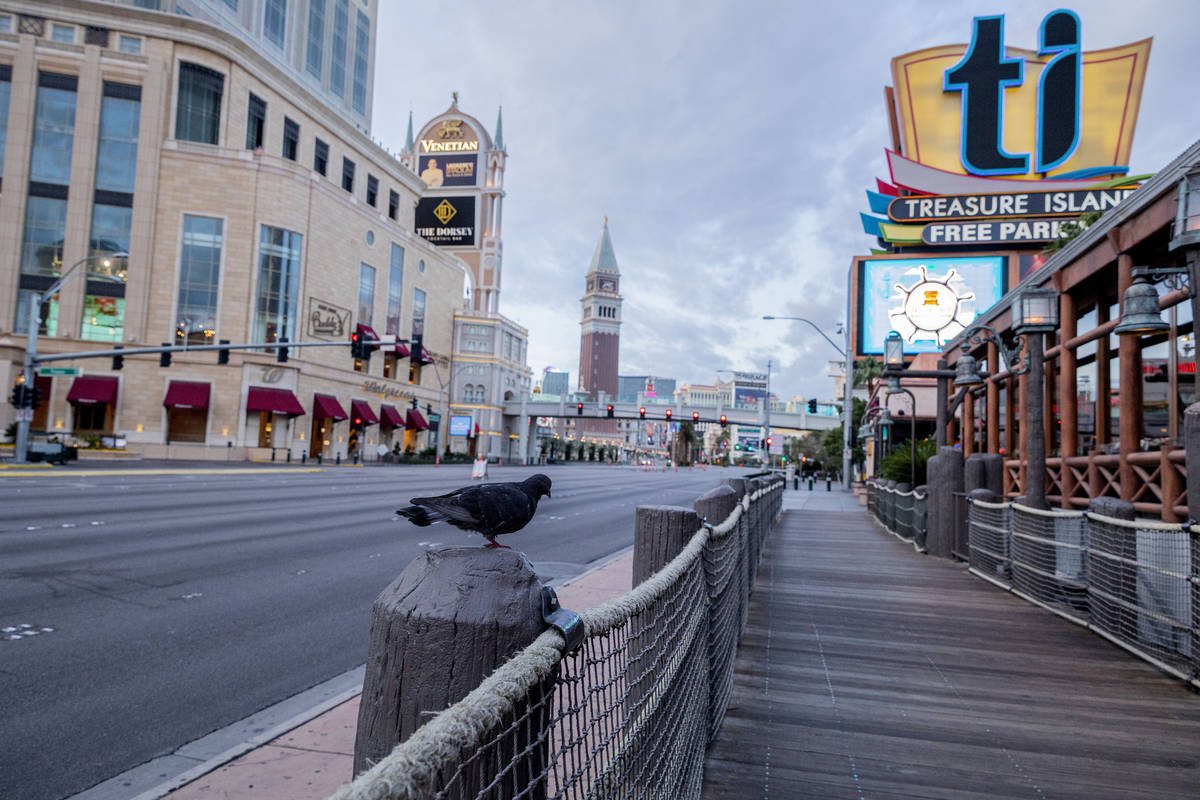 A quiet morning on the Las Vegas Strip on Wednesday, March 18, 2020. (Elizabeth Page Brumley/La ...